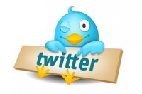 6500+ followers to your Twitter Account in just 24 hours 6500+ followers to your Twitter Account in just 24 hours